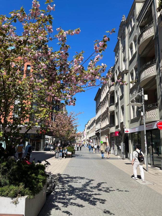 Sloneczny Apartament Centrum Poznania Klimatyzacja Wi-Fi Tv Zmywarka Pralka Piekarnik Esterno foto